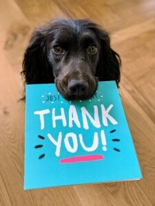 Thank You 2